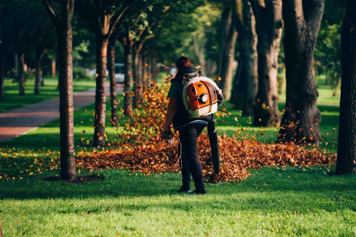 Best Tree Branch Trimming  in Germantown, IL